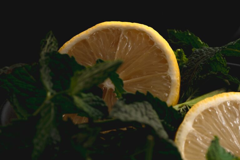 recette rhum arrangé citron menthe